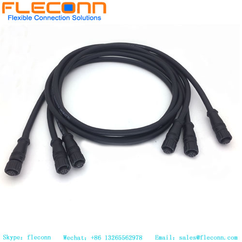 M12 8 Pos Female Cable